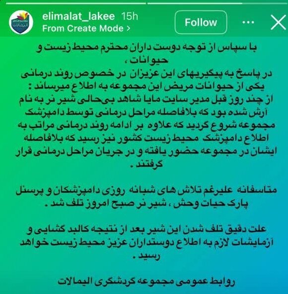 مرگ دومین شیر در مجموعه الیمالات؛ زنگ خطر برای سافاری پارک مازندران