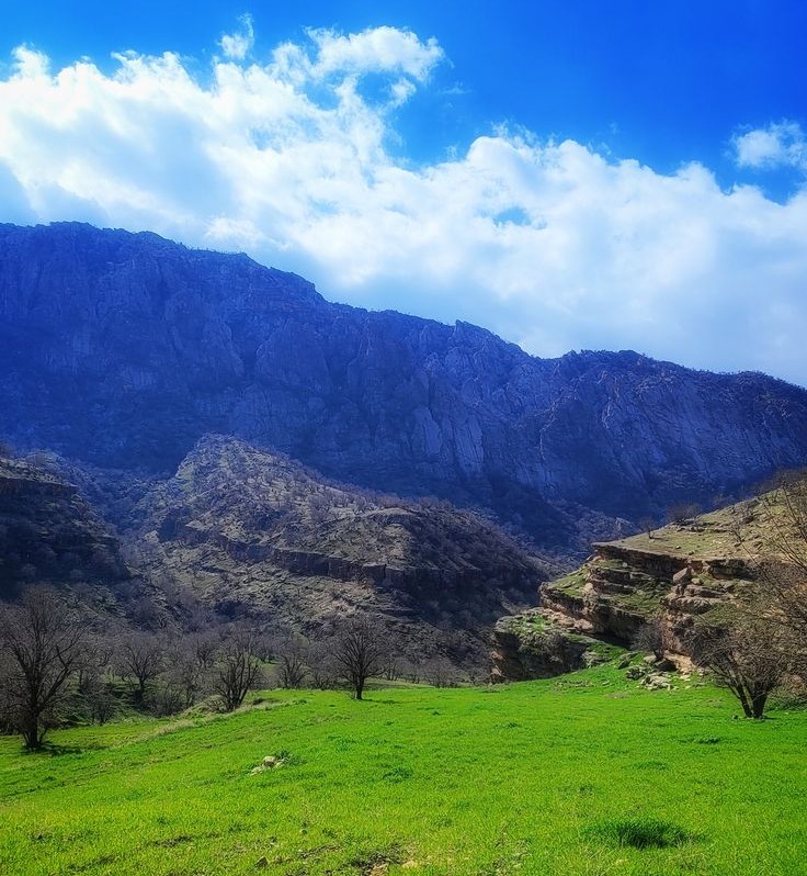 ایلام
